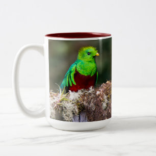Resplendent Quetzal in the Cloud Forest Two-Tone Coffee Mug