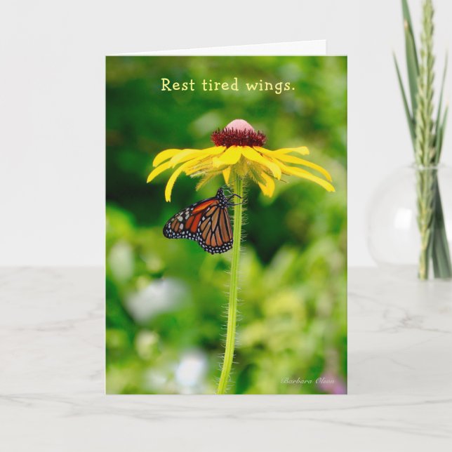 Rest tired wings:Nature provides comfort & healing Card (Front)