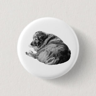 Restful Lifelike Dog Shares Easy Holiday Style Pin
