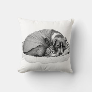 Restful Soul in the Season’s Hush Cushion