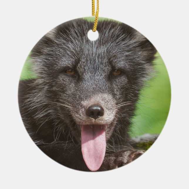 Resting Arctic Fox Ceramic Tree Decoration (Front)