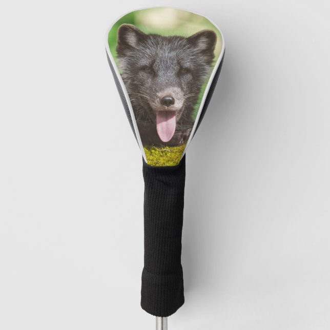 Resting Arctic Fox Golf Head Cover (Front)