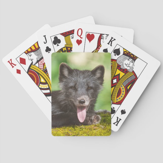 Resting Arctic Fox Playing Cards (Back)
