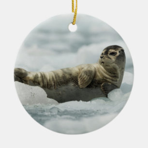 Resting Baby Seal Ceramic Tree Decoration
