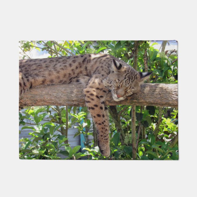 Resting Bobcat Doormat (Front)