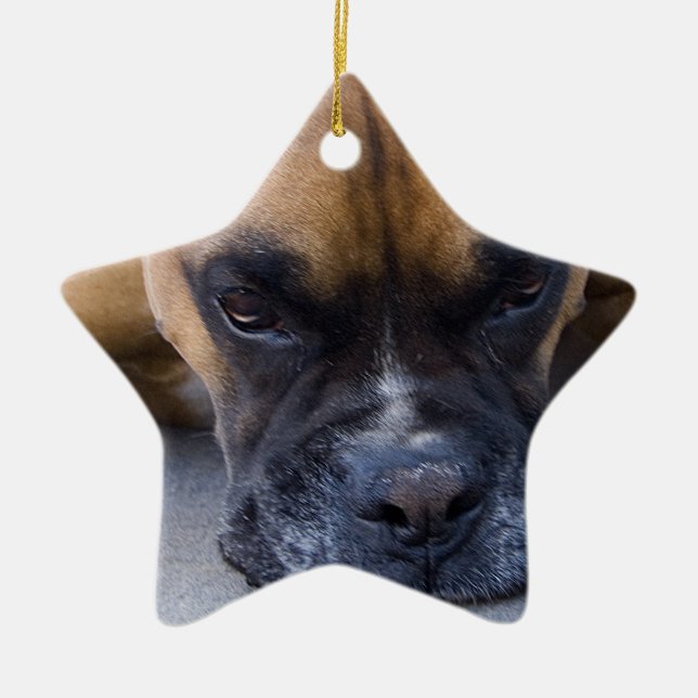 Resting Boxer Dog Ornament (Front)