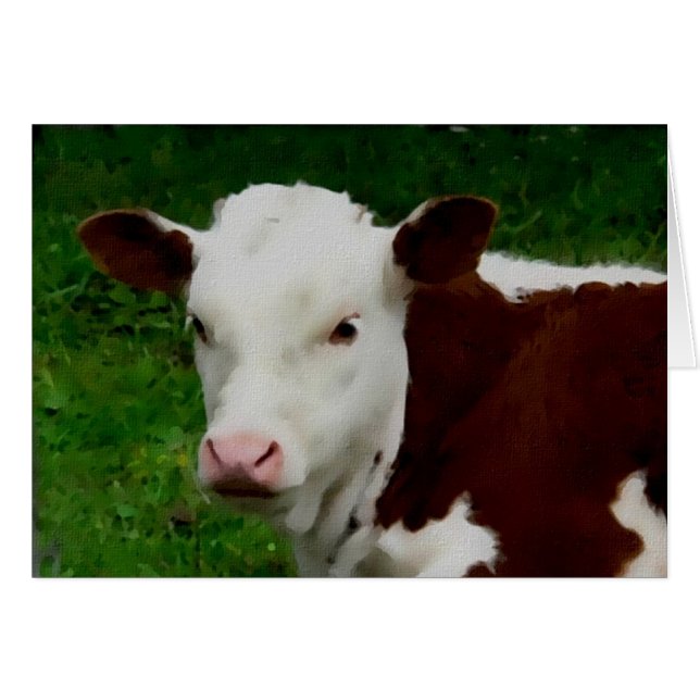 Resting Calf Card (Front Horizontal)