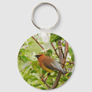Resting Cedar Waxwing Key Ring