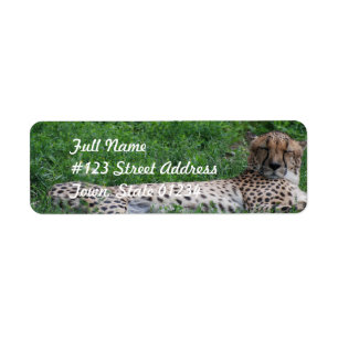 Resting Cheetah Mailing Label