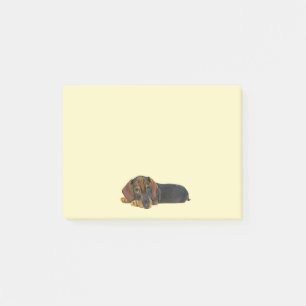 Resting Dachshund Post-It Notes