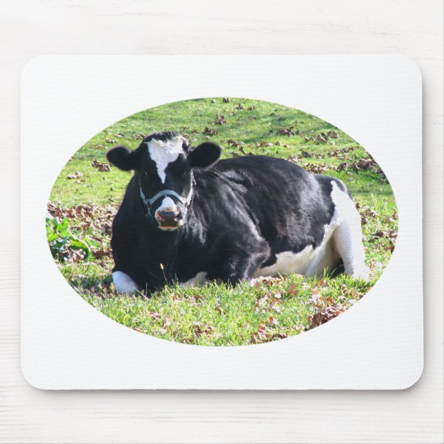 Resting Dairy Cow Circle Transparent Background Mouse Mat (Front)