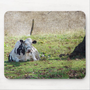 Resting Dairy Cow Mouse Mat