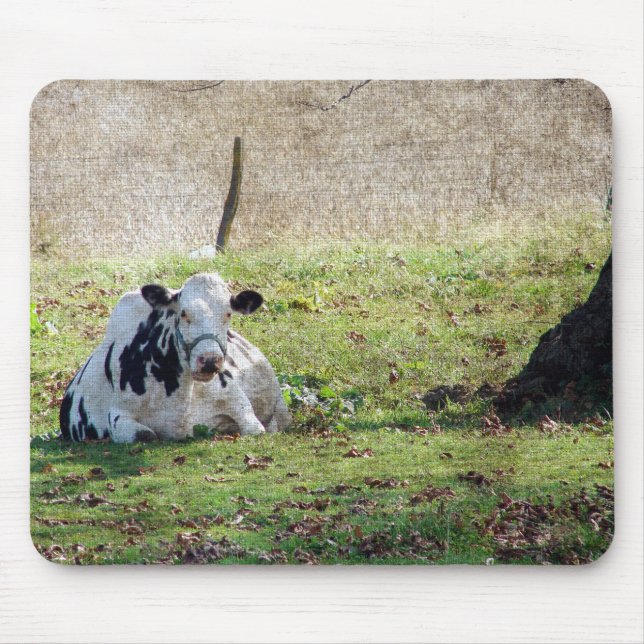 Resting Dairy Cow Mouse Mat (Front)