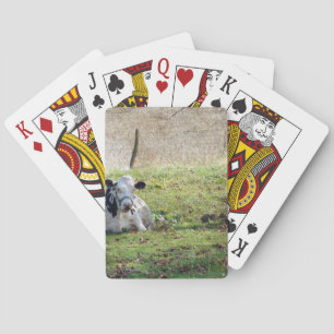 Resting Dairy Cow Playing Cards