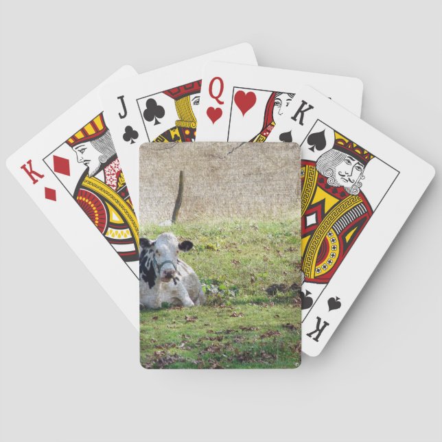 Resting Dairy Cow Playing Cards (Back)