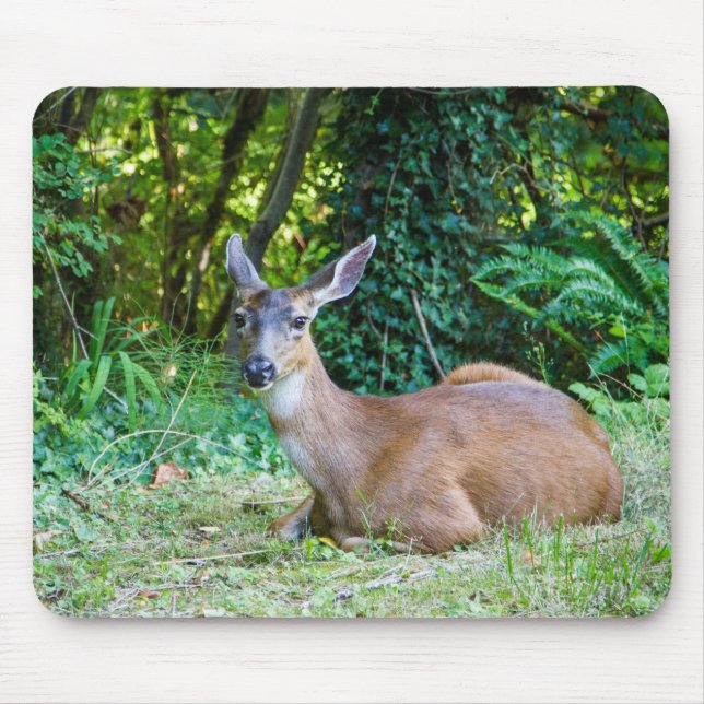 Resting Deer Mousepad (Front)