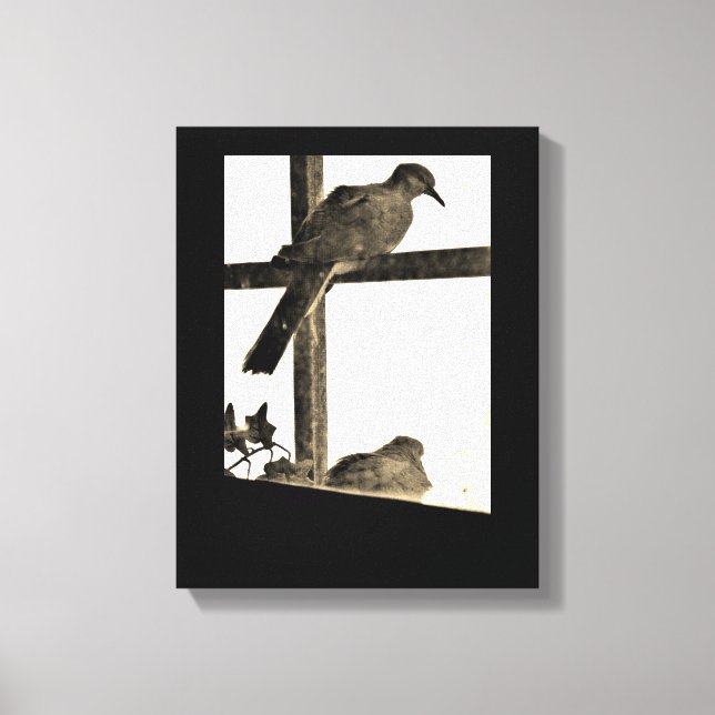 Resting Doves Canvas Print (Front)