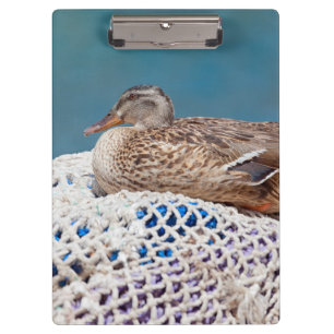 Resting Duck Clipboard