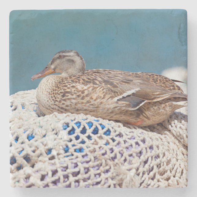 Resting Duck Stone Coaster (Front)