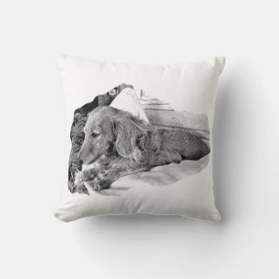 Resting Dutch Hound – Minimalist Dog Art Pillow