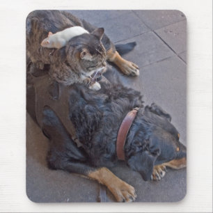 Resting Easy Mouse Mat