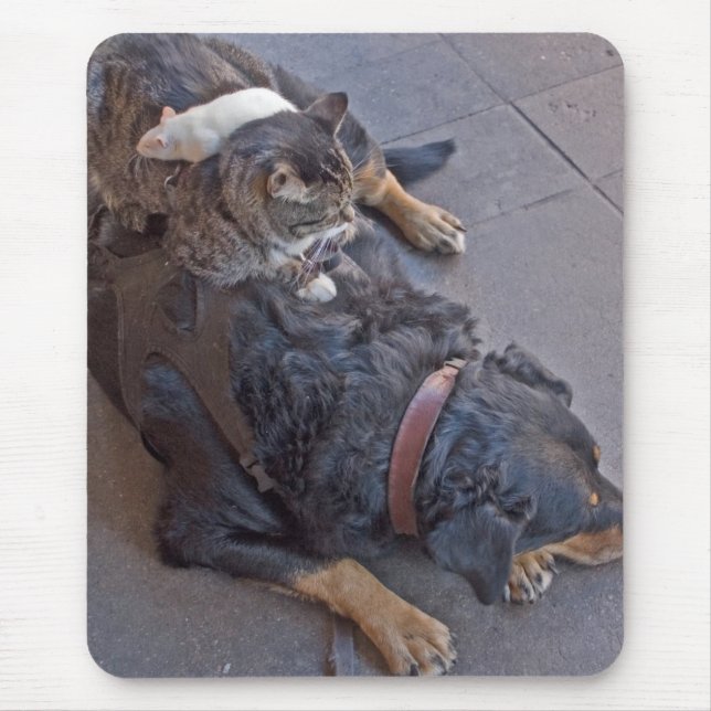 Resting Easy Mouse Mat (Front)