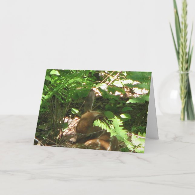 Resting Fawn Card (Front)