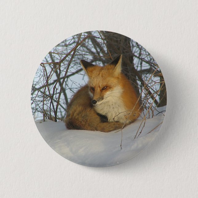 Resting Fox 6 Cm Round Badge (Front)