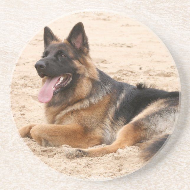 Resting German Shepherd Dog Coasters (Front)