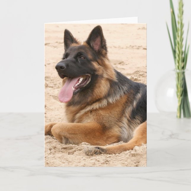 Resting German Shepherd Dog Greeting Card (Front)