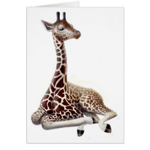 Resting Giraffe Card
