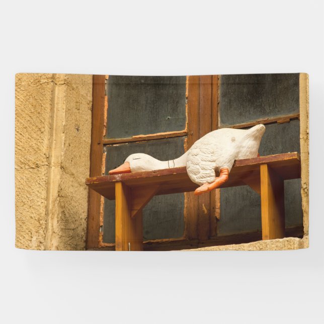 Resting goose on a bench banner (Horizontal)