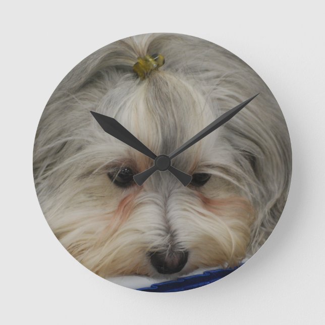 Resting Havanese Dog Round Clock (Front)