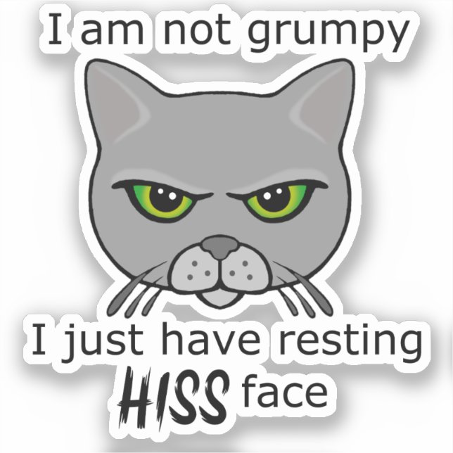 Resting Hiss Face Grey Cat - Benefits PACR (Front)