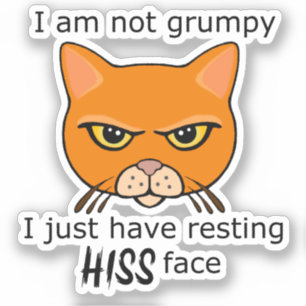 Resting Hiss Face Orange Cat - Benefits PACR