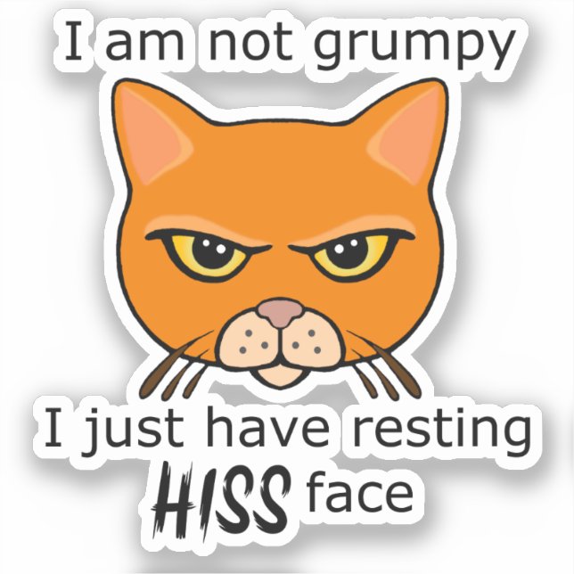 Resting Hiss Face Orange Cat - Benefits PACR (Front)