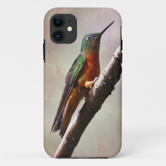 Resting Hummingbird iPhone 5 Case