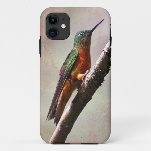 Resting Hummingbird iPhone 5 Case (Back)