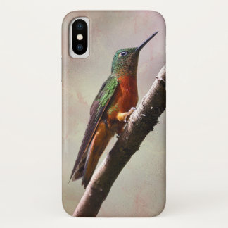Resting Hummingbird iPhone X Case