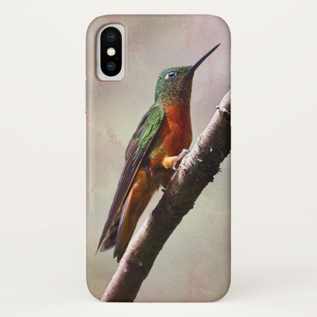 Resting Hummingbird iPhone X Case (Back)