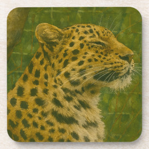 Resting Leopard in Sanctuary Setting Coaster