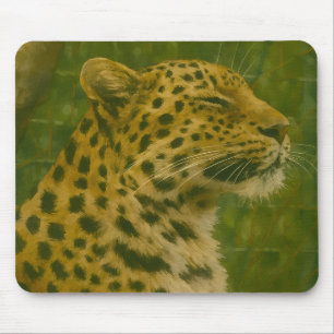 Resting Leopard in Sanctuary Setting Mouse Mat