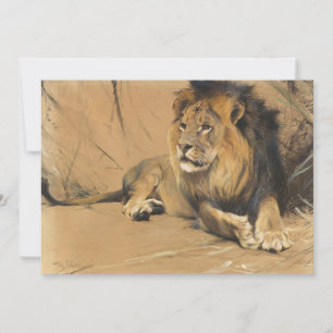 Resting Lion   Wilhelm Kuhnert