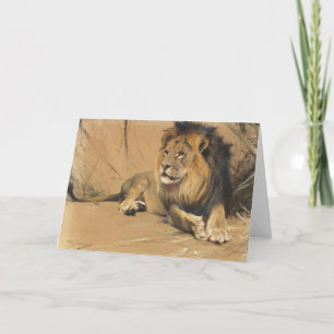 Resting Lion   Wilhelm Kuhnert Card