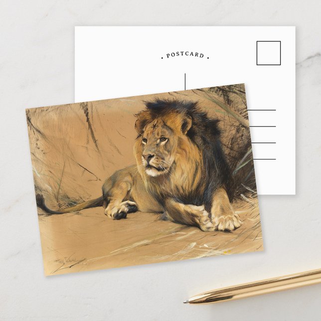 Resting Lion | Wilhelm Kuhnert Postcard (Creator Uploaded)