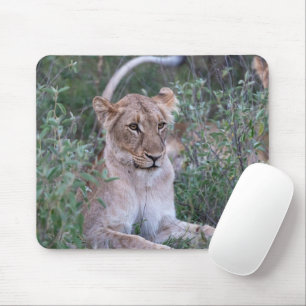 Resting Lioness African Wildlife Portrait Mouse Mat