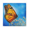 Resting Monarch magnet
