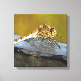 Resting Ochre Brown Dragonfly Realistic Painting Canvas Print