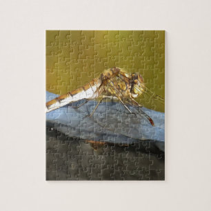 Resting Ochre Brown Dragonfly Realistic Painting Jigsaw Puzzle