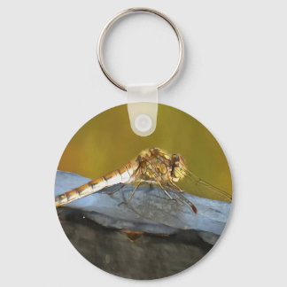 Resting Ochre Brown Dragonfly Realistic Painting Key Ring